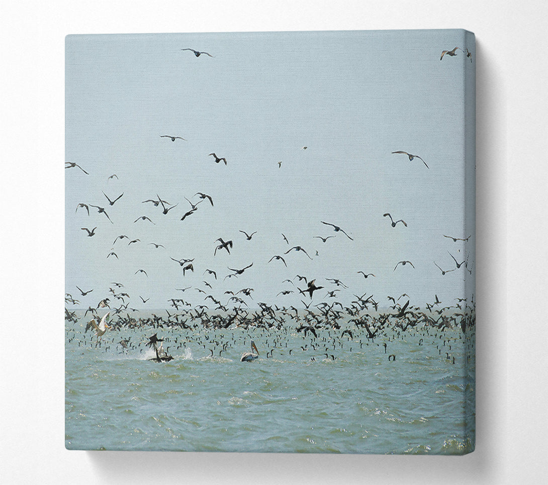  A Canvas Print of Azure Avian Frenzy Canvas Print