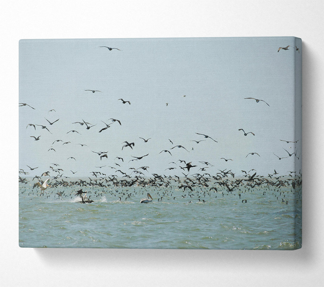  A Canvas Print of Azure Avian Frenzy Canvas Print