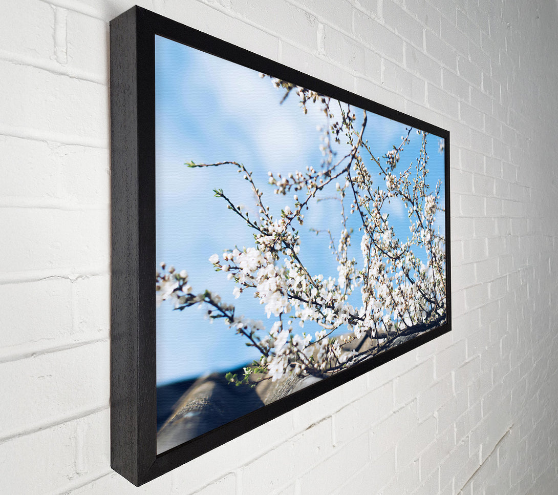  A Canvas Print of Blue Sky Blossoms Canvas Art
