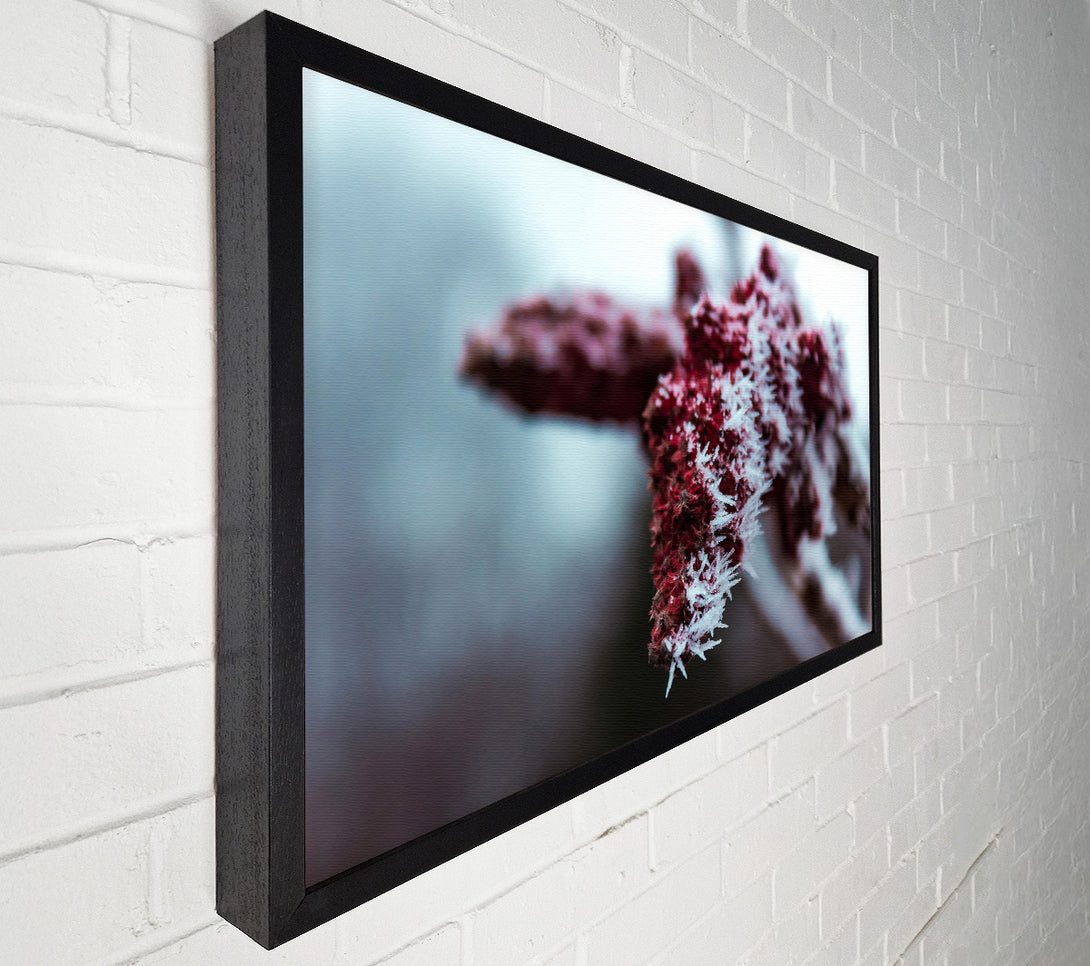  A Canvas Print of Crimson Frost Crystals Canvas Wall Art