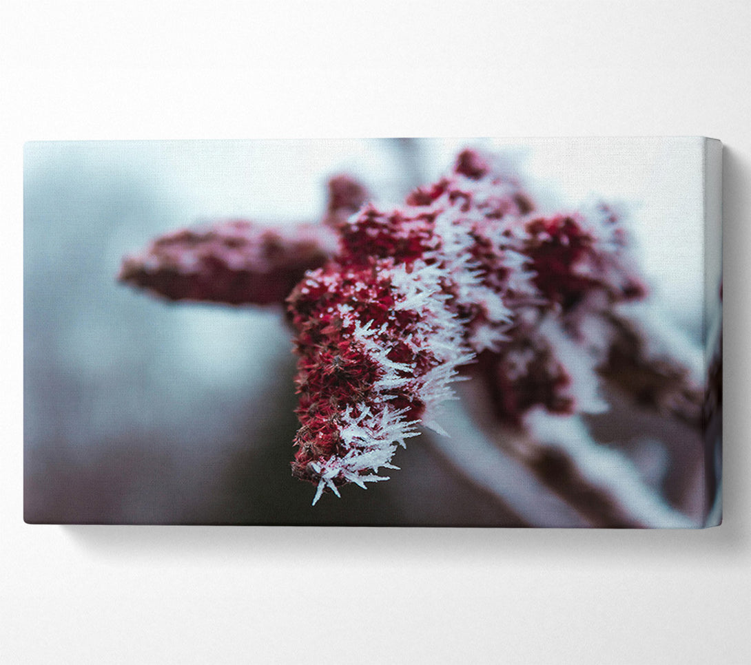  A Canvas Print of Crimson Frost Crystals Canvas Wall Art