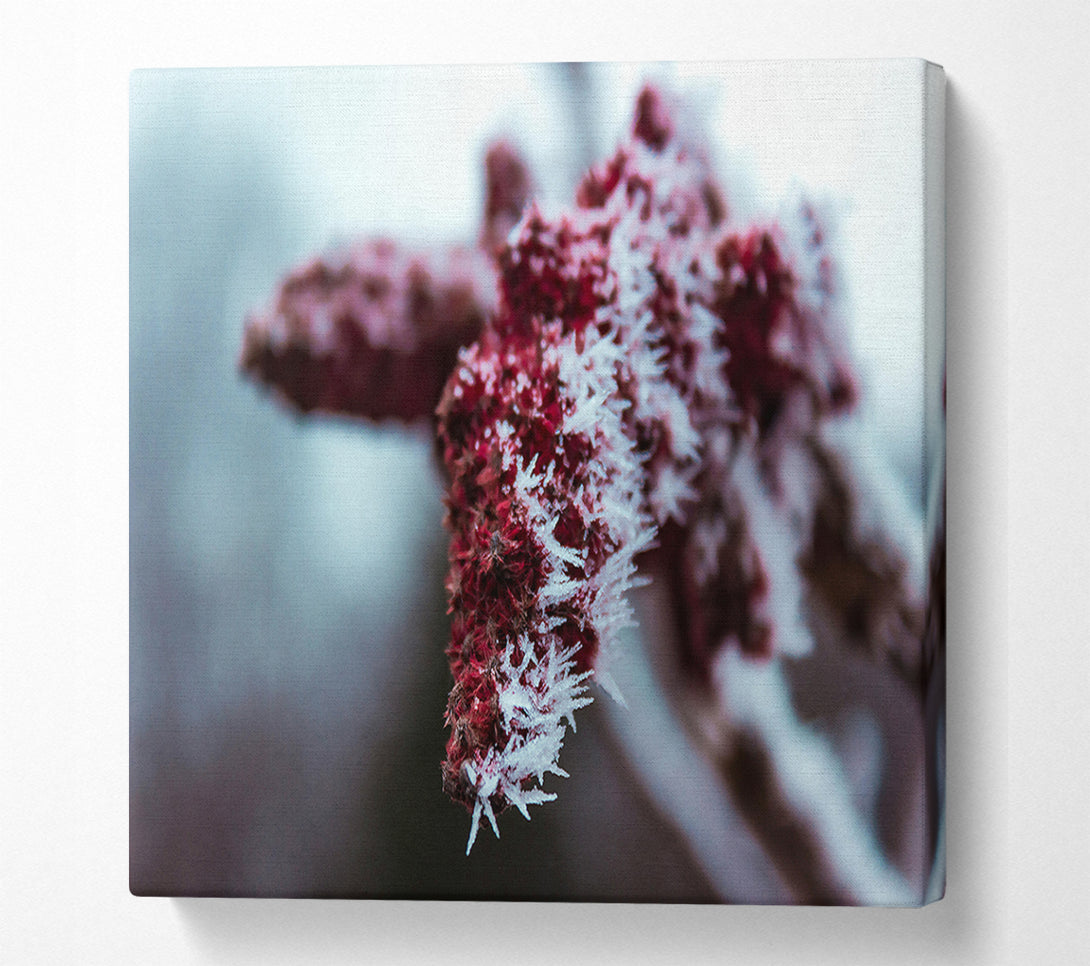  A Canvas Print of Crimson Frost Crystals Canvas Wall Art