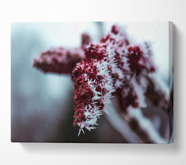  A Canvas Print of Crimson Frost Crystals Canvas Wall Art