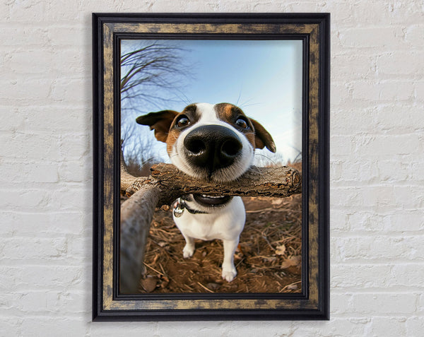 Good Boy With Stick Framed Print