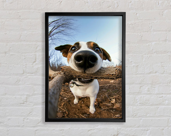 Good Boy With Stick Framed Print