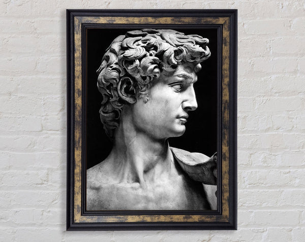 Greek Statue Walnut And Walnut Framed Print