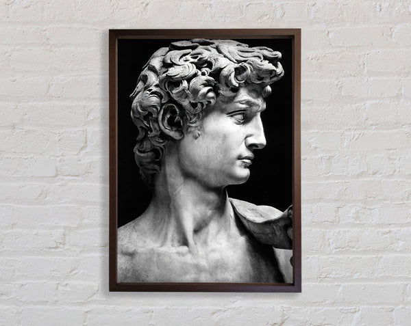 Greek Statue Walnut And Walnut Framed Print