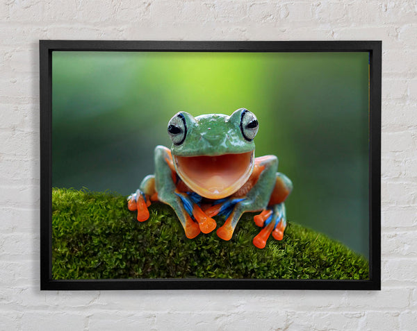 Green Frog Smile Framed Print