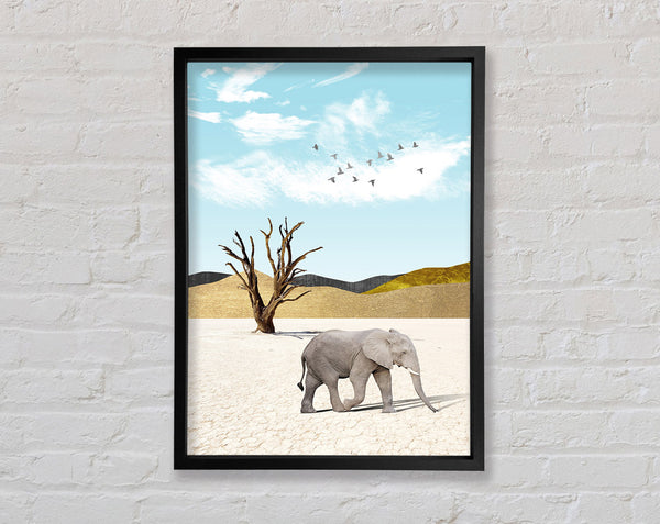 Grey Elephant In Dessert Framed Print