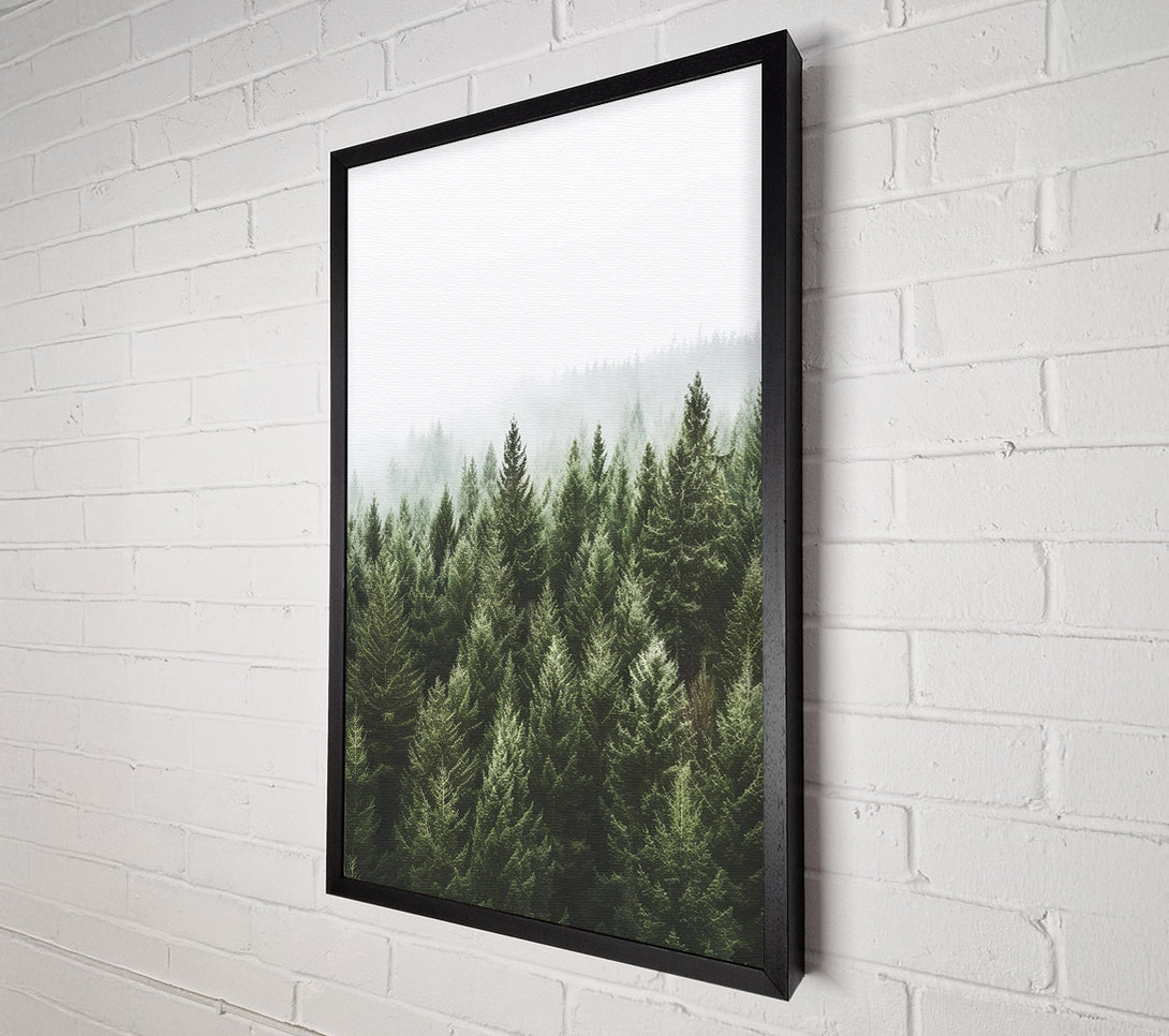  A Canvas Print of Greyish Sky Forest Canvas Wall Art