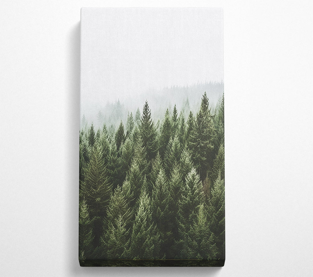  A Canvas Print of Greyish Sky Forest Canvas Wall Art
