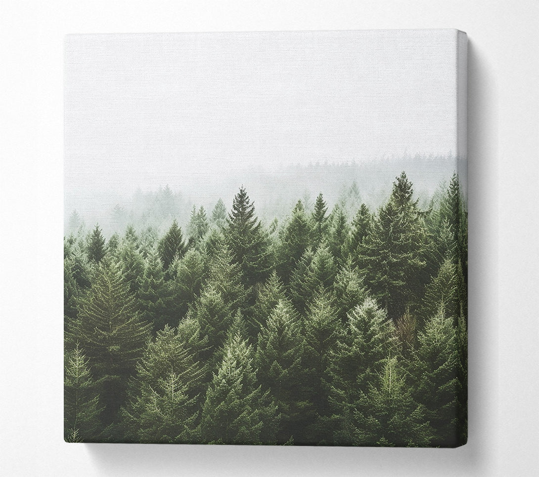  A Canvas Print of Greyish Sky Forest Canvas Wall Art