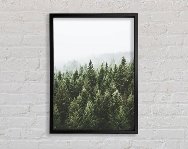Greyish Sky Forest Framed Print