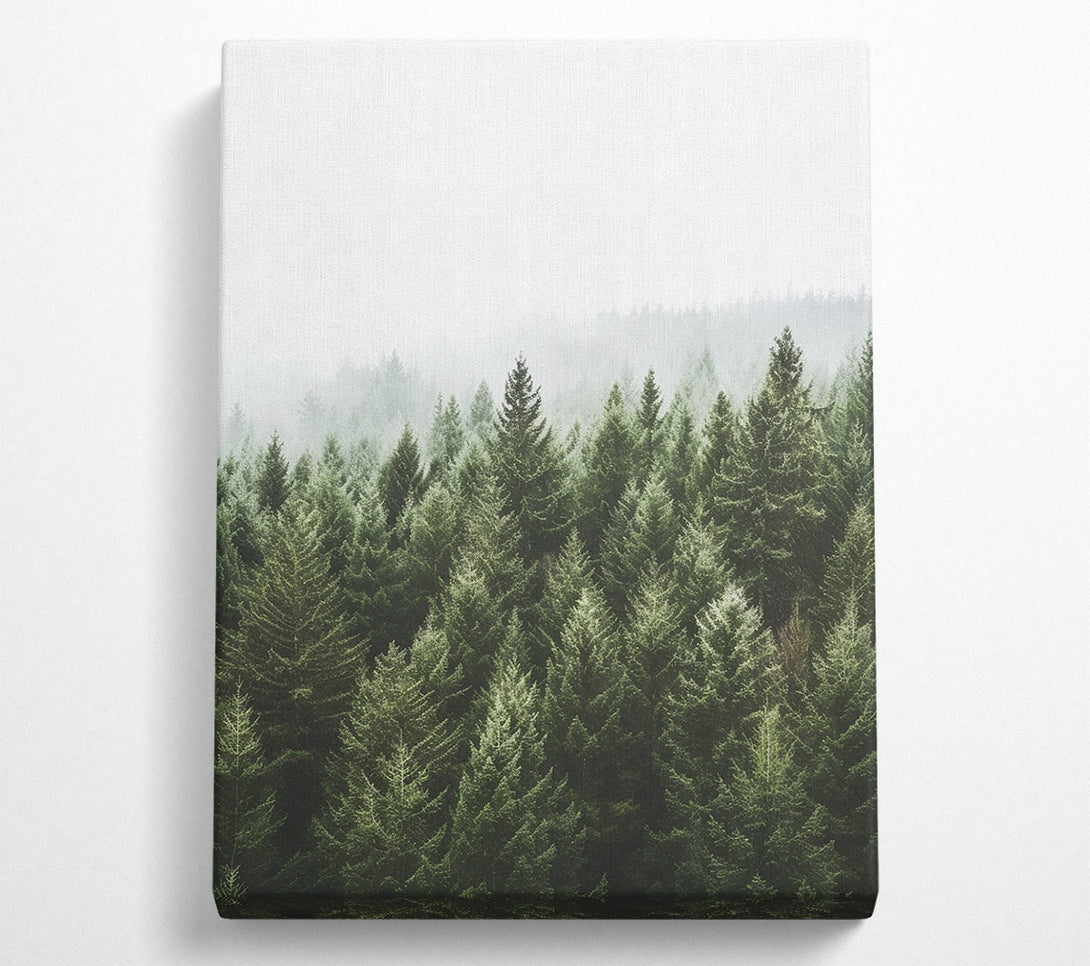  A Canvas Print of Greyish Sky Forest Canvas Wall Art