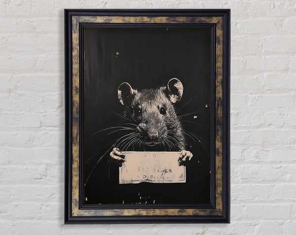 Guilty Rat Framed Print