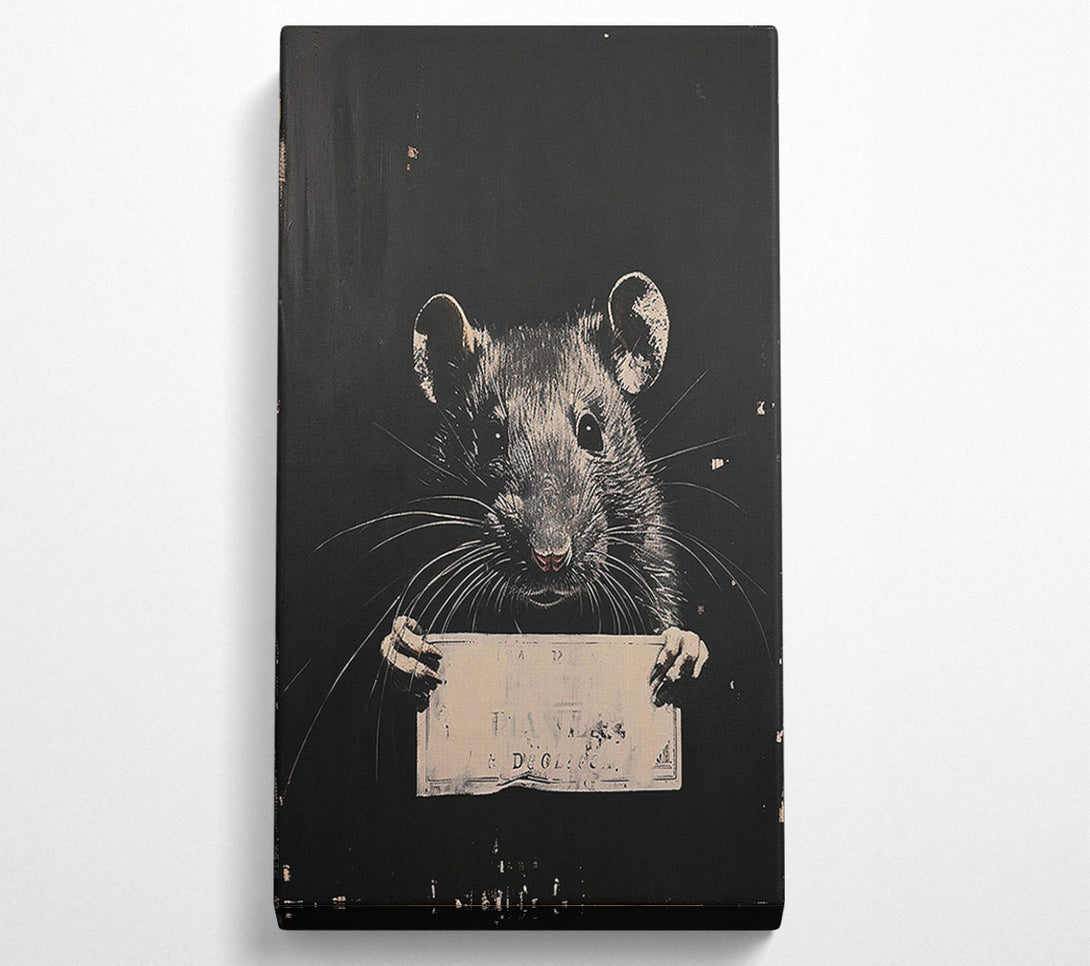  A Canvas Print of Guilty Rat Canvas Print