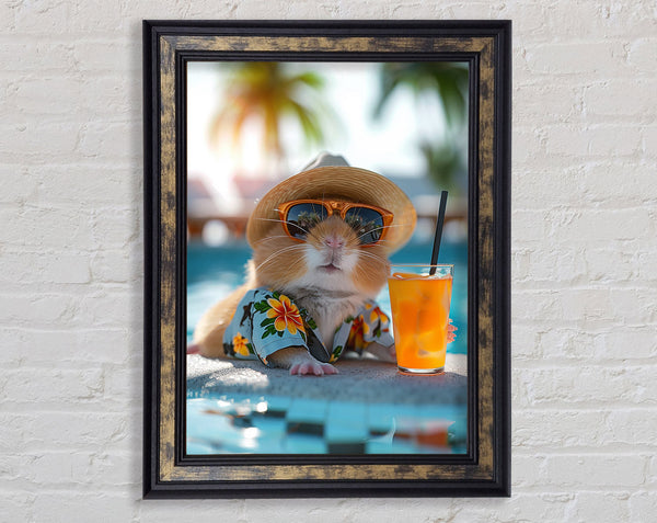 Guinea Pig In The Sun Framed Print