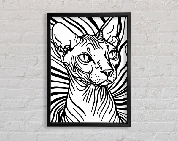 Hairless Cat Lines