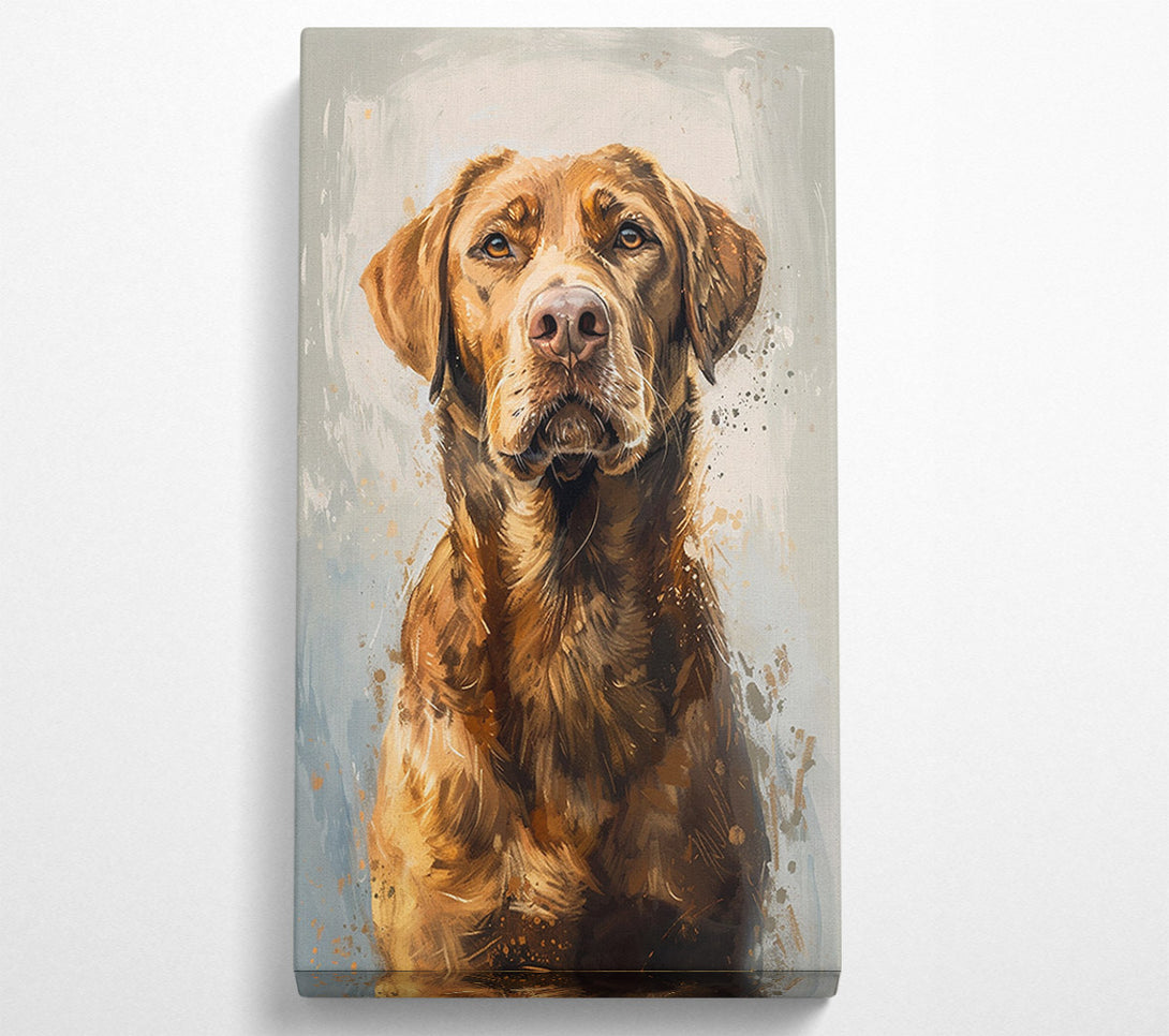  A Canvas Print of Handsome Retriever Canvas Art