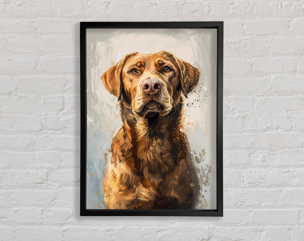 Handsome Retriever Framed Print