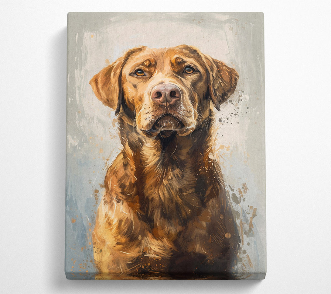  A Canvas Print of Handsome Retriever Canvas Art