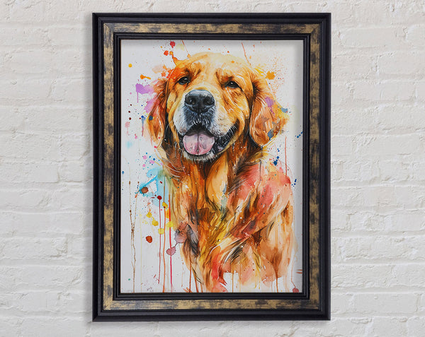 Happy Golden Retriever Framed Print