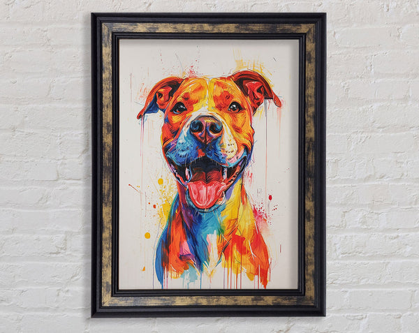 Happy Staffy Framed Print