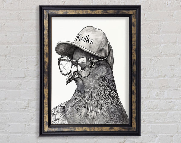 Hipster Pigeon Framed Print