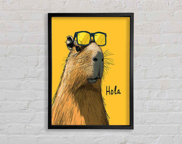 Hola Framed Print
