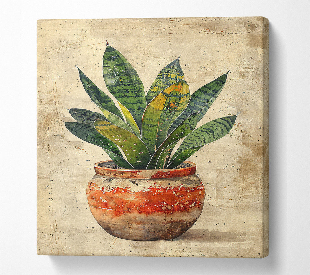  A Canvas Print of House Plant Ceramic Canvas Print