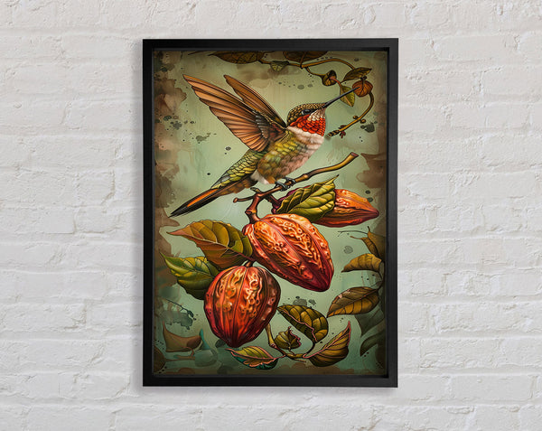 Humming Bird Cocoa Fruit Framed Print