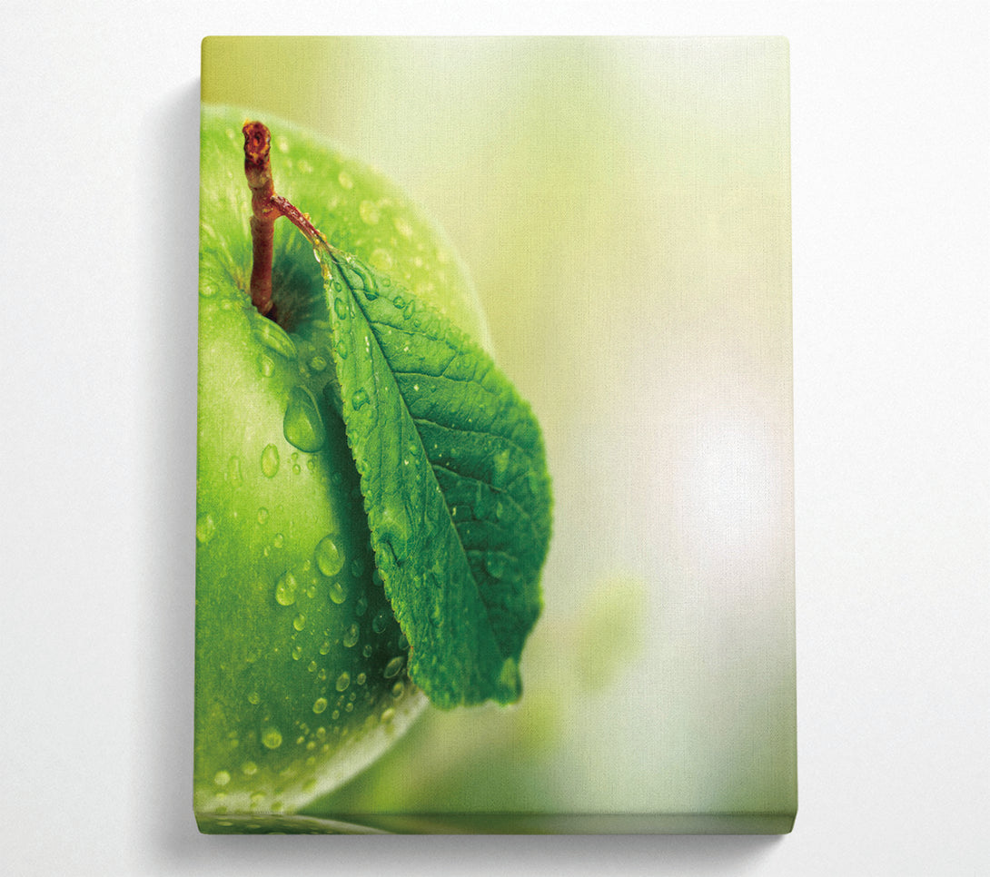  A Canvas Print of Juicy Apple Canvas Art