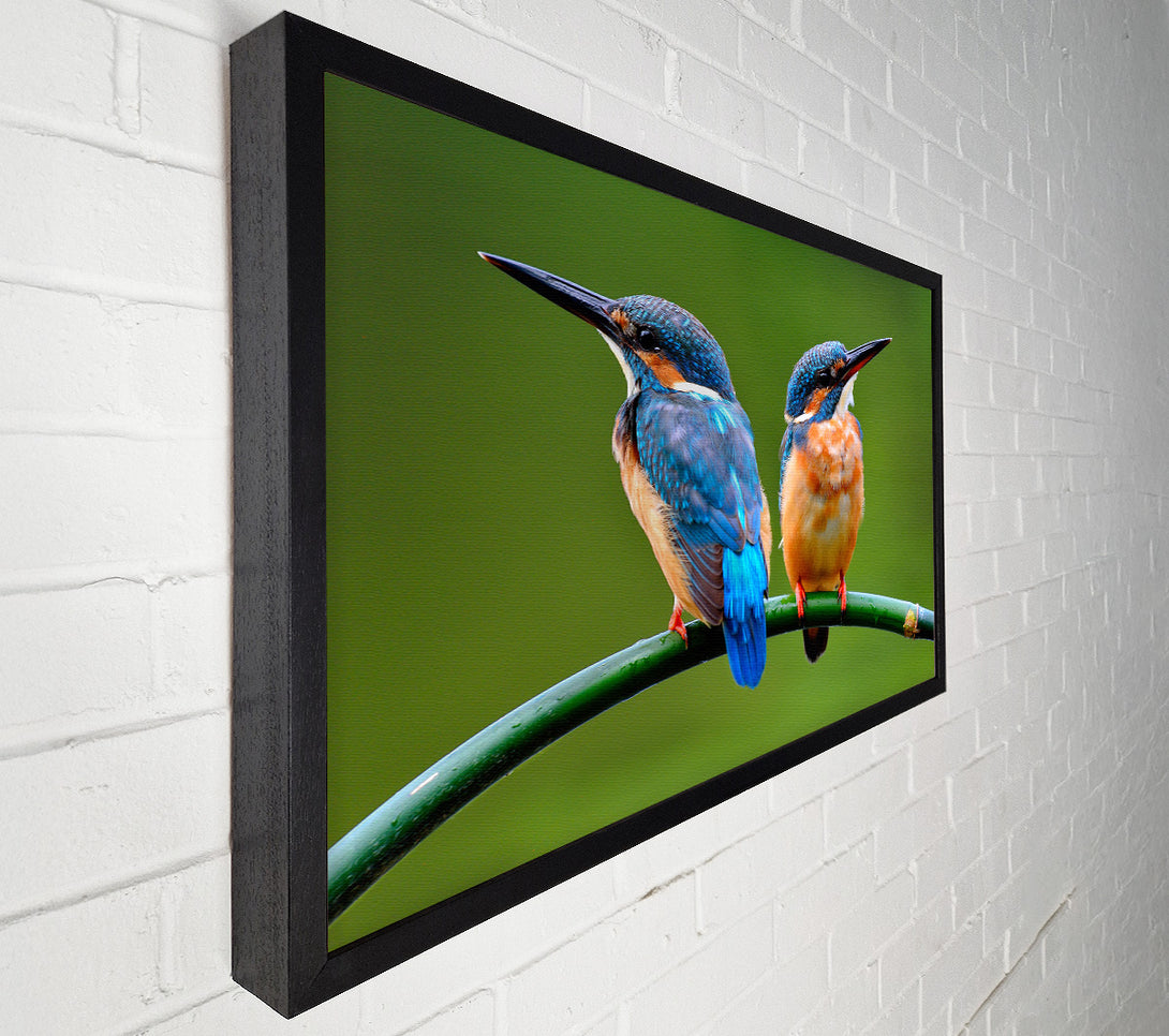  A Canvas Print of Kingfisher Canvas Wall Art