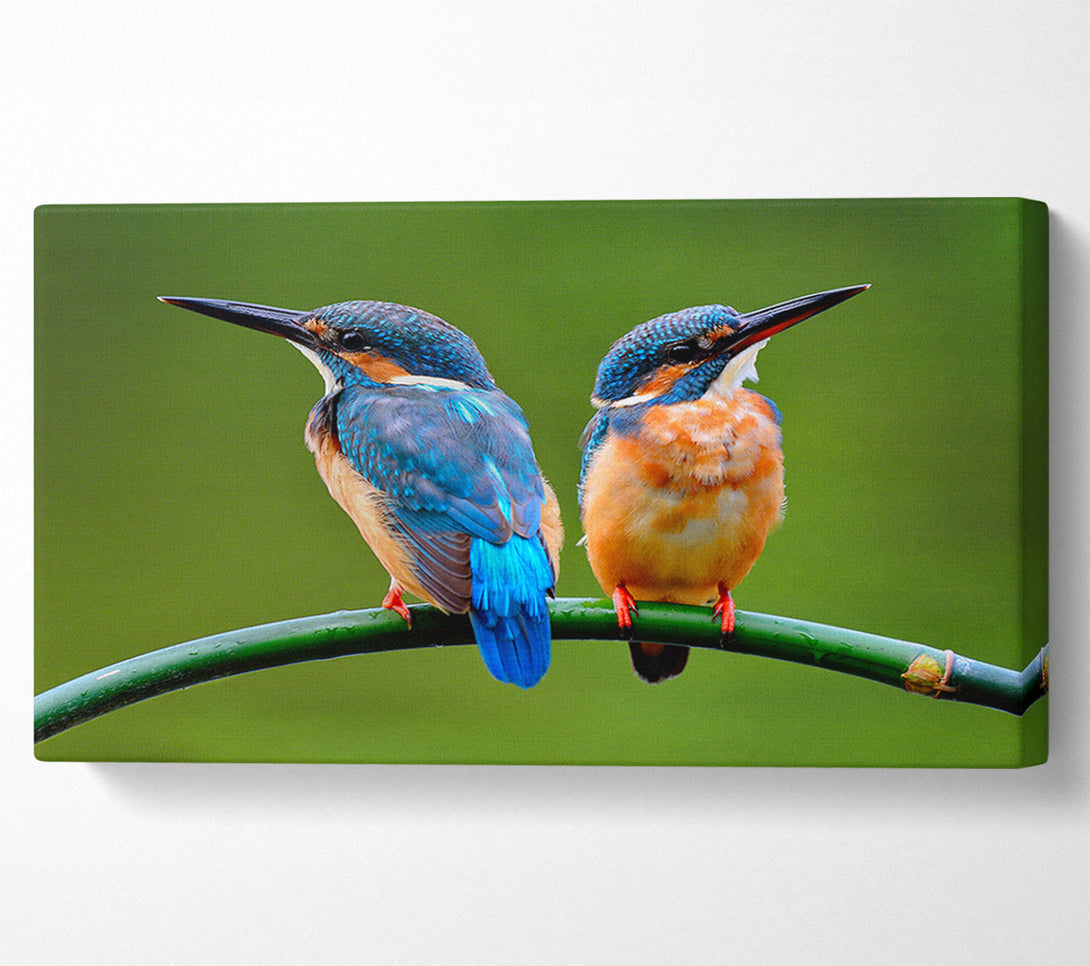  A Canvas Print of Kingfisher Canvas Wall Art