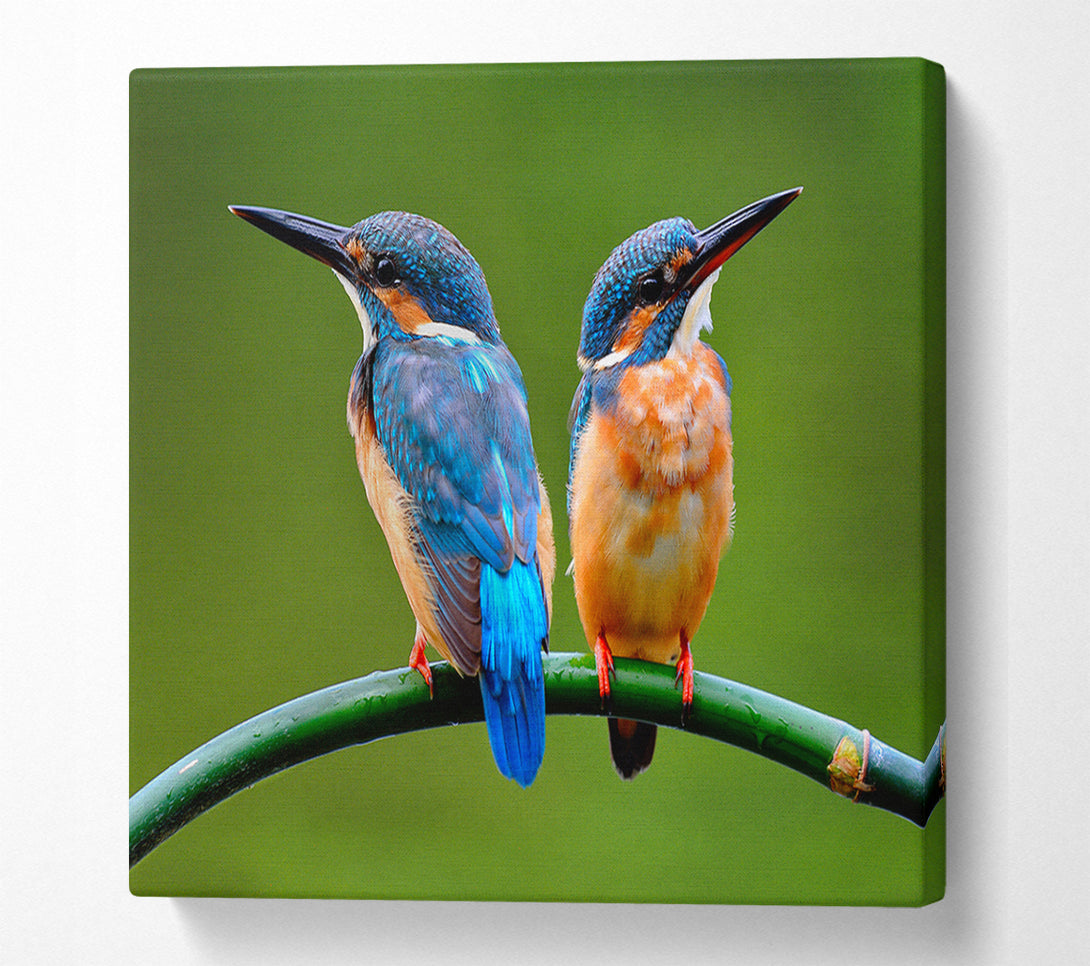  A Canvas Print of Kingfisher Canvas Wall Art