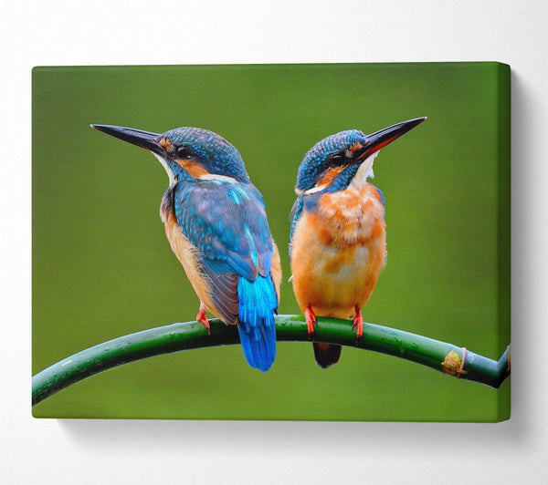  A Canvas Print of Kingfisher Canvas Wall Art