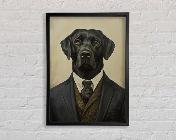 Labrador Suit Framed Print
