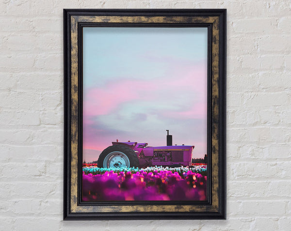 Lilac Tractor Framed Print