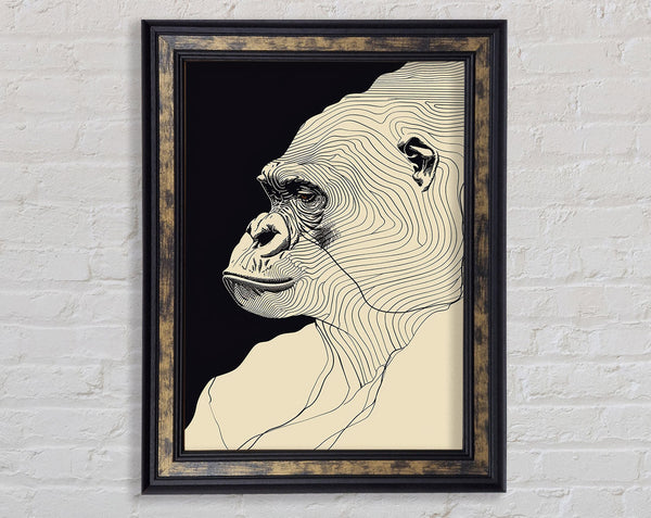 Lines Of. Gorilla Framed Print