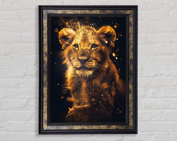 Lion Cub Framed Print