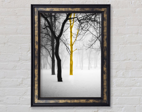 Lone Colourful Tree Framed Print