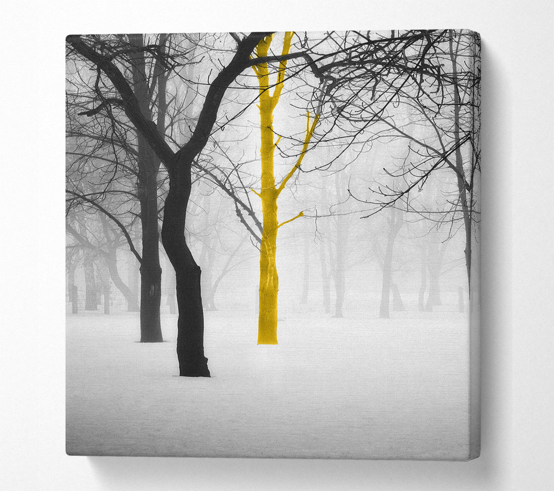  A Canvas Print of Lone Colourful Tree Canvas Art