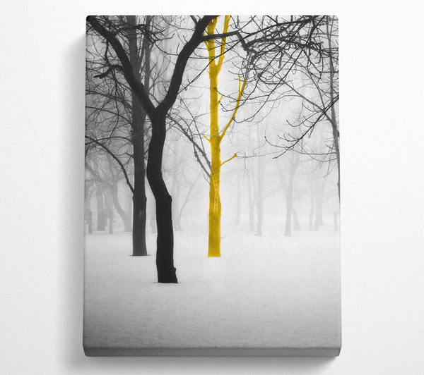  A Canvas Print of Lone Colourful Tree Canvas Art