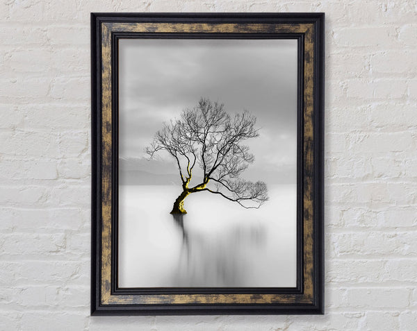 Lone Tree Lake Framed Print