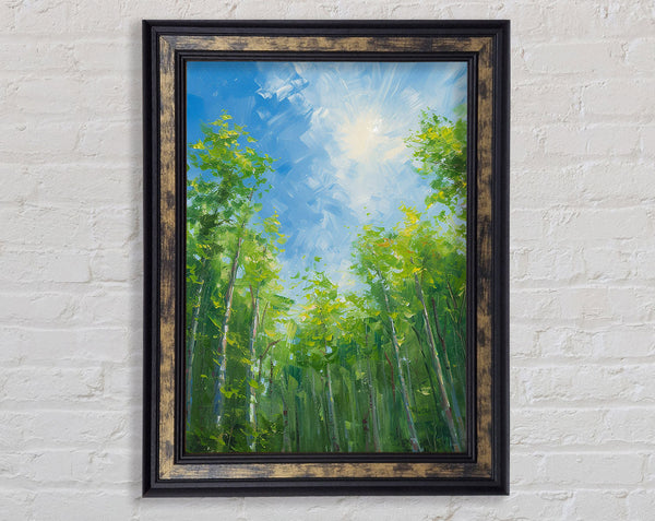 Looking Up Through The Trees Framed Print