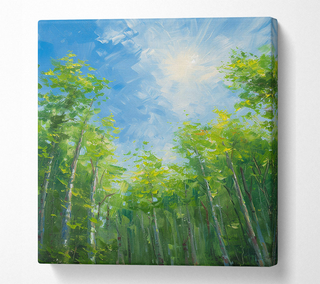  A Canvas Print of Looking Up Through The Trees Canvas Wall Art