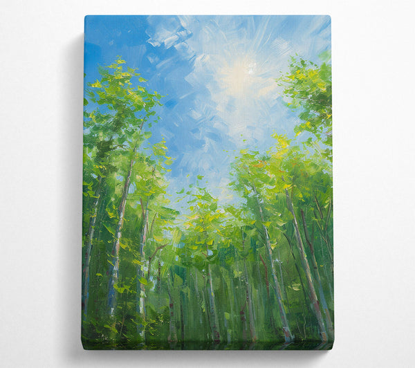  A Canvas Print of Looking Up Through The Trees Canvas Wall Art