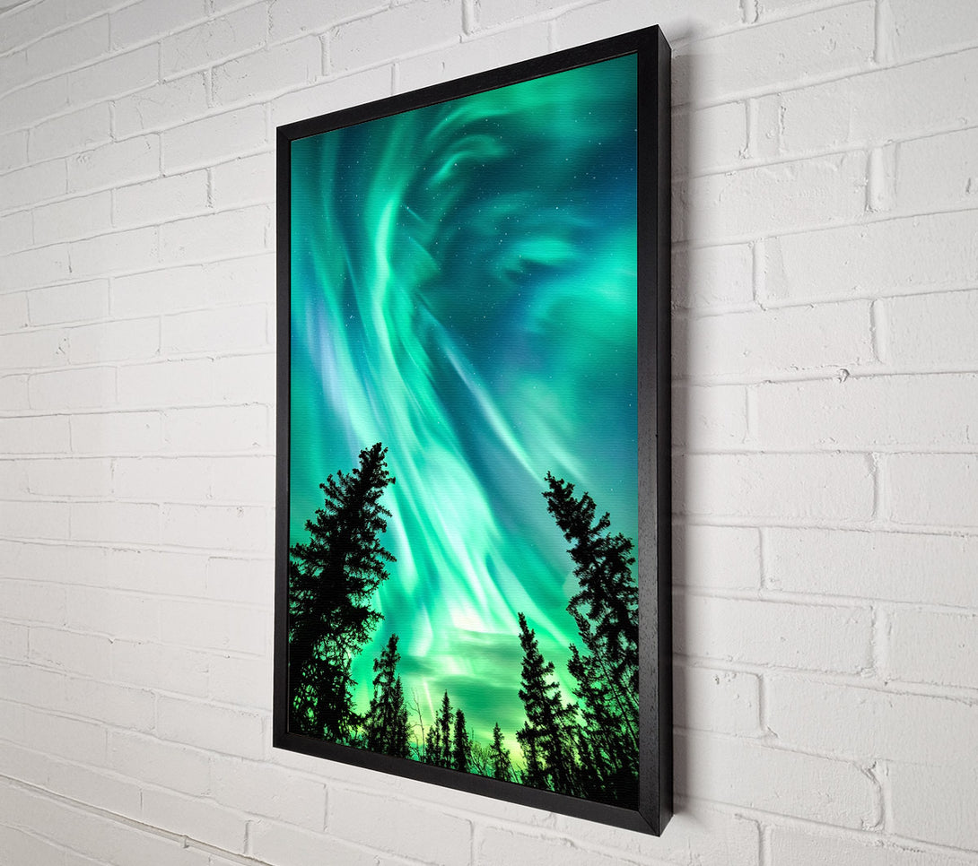  A Canvas Print of Looking Up To Northern Skies Canvas Print