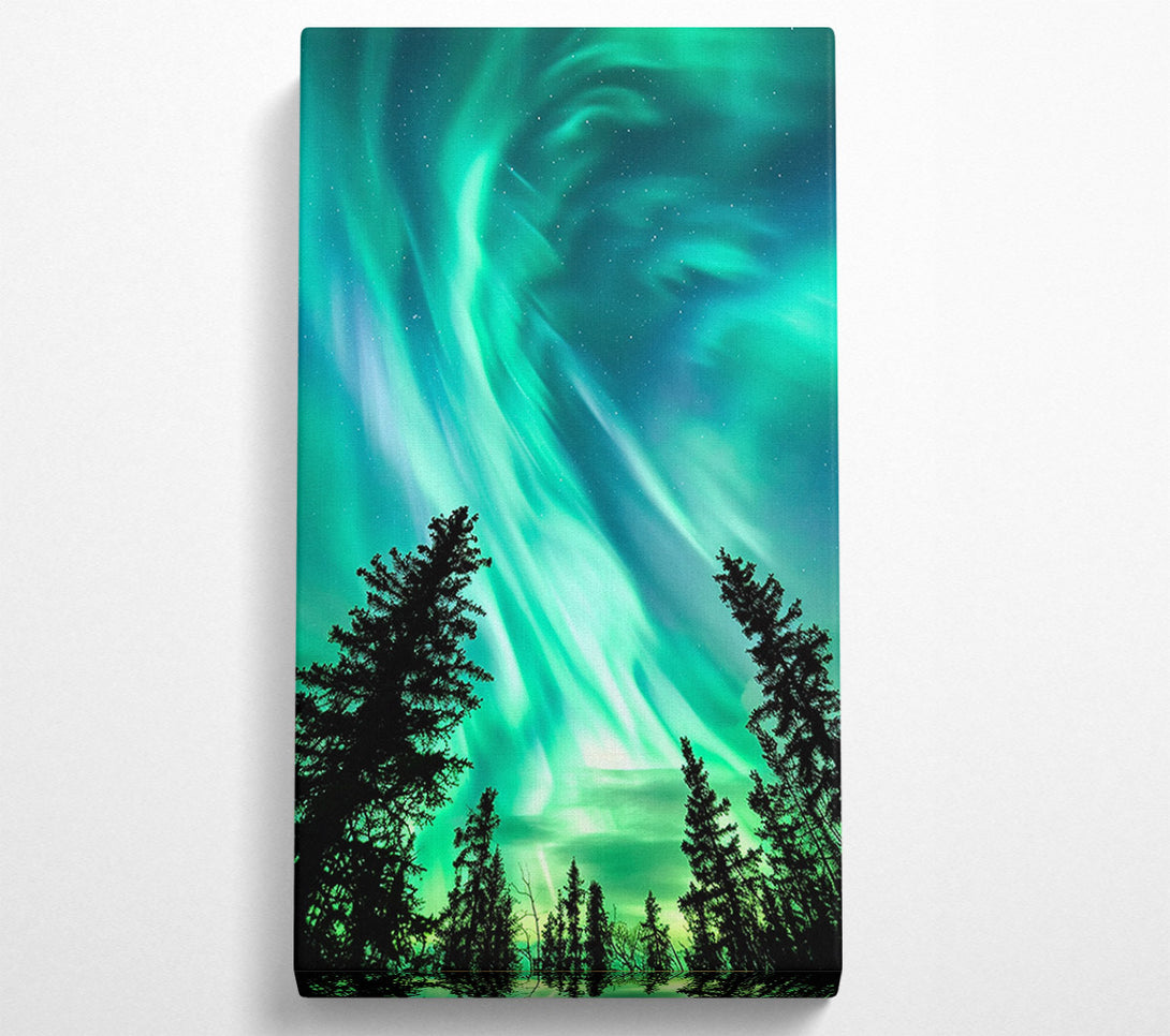  A Canvas Print of Looking Up To Northern Skies Canvas Print