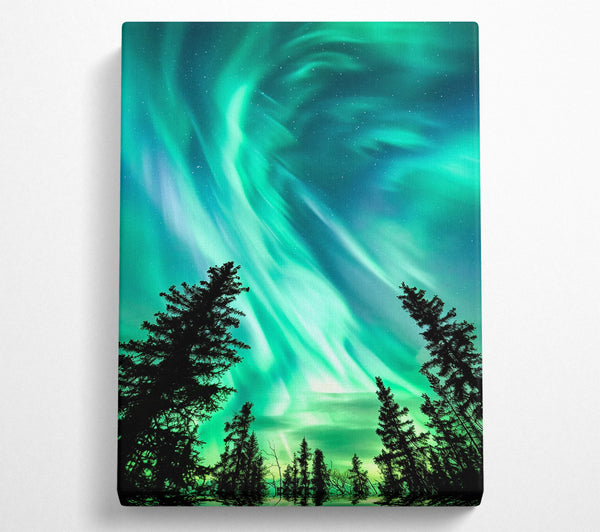  A Canvas Print of Looking Up To Northern Skies Canvas Print